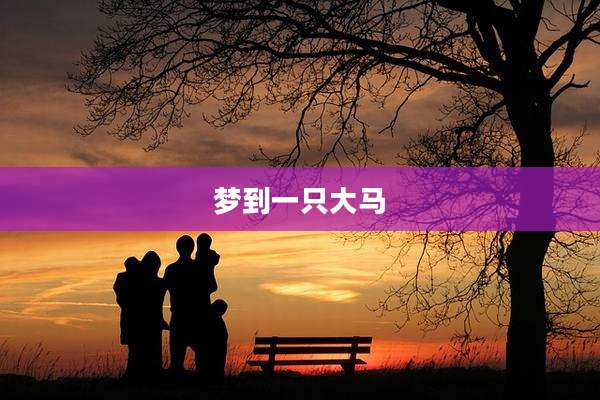 梦到一只大马