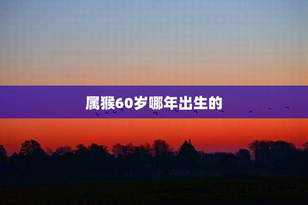 属猴60岁哪年出生的