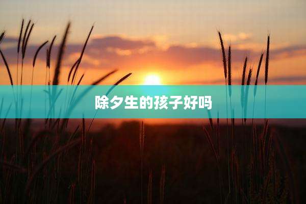 除夕生的孩子好吗