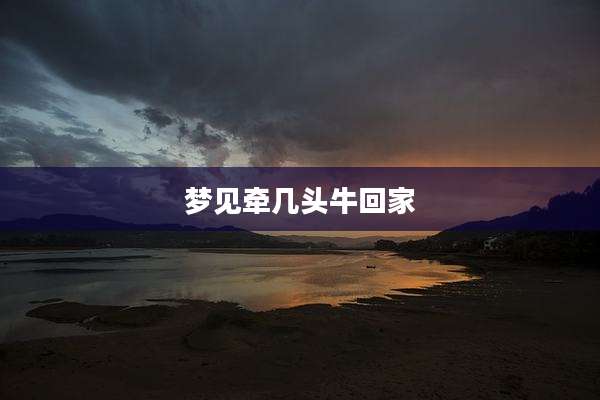 梦见牵几头牛回家