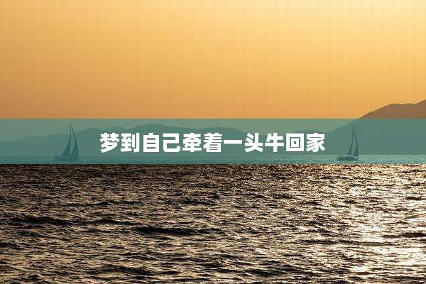 梦到自己牵着一头牛回家