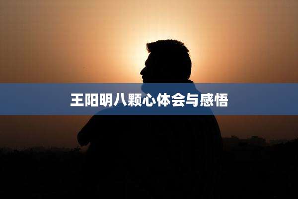 王阳明八颗心体会与感悟