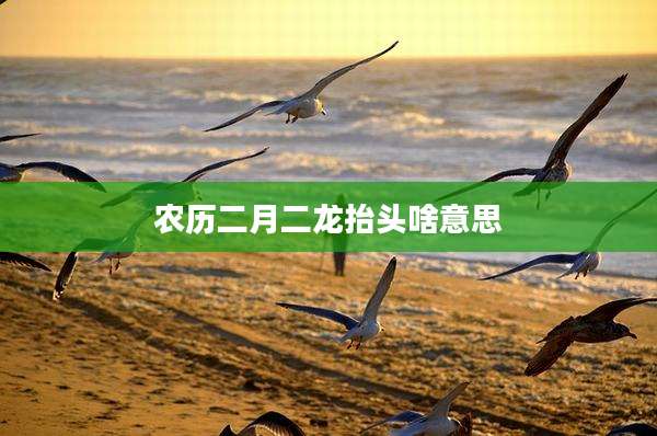 农历二月二龙抬头啥意思