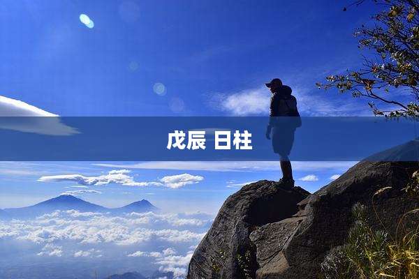 戊辰 日柱