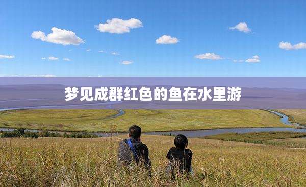 梦见成群红色的鱼在水里游