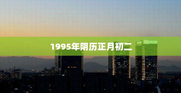 1995年阴历正月初二