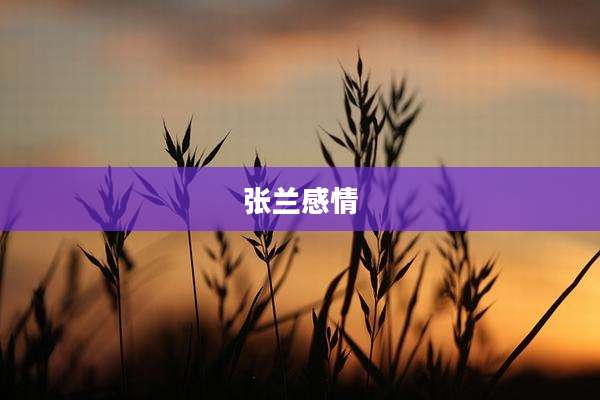 张兰感情