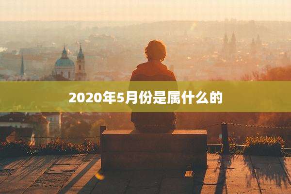 2020年5月份是属什么的