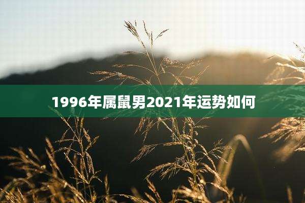 1996年属鼠男2021年运势如何
