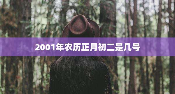 2001年农历正月初二是几号
