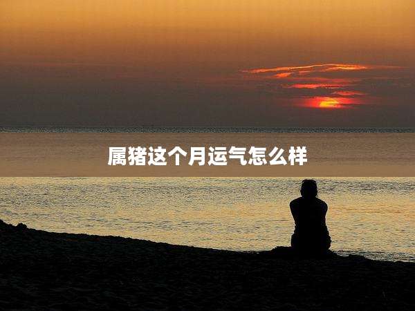 属猪这个月运气怎么样