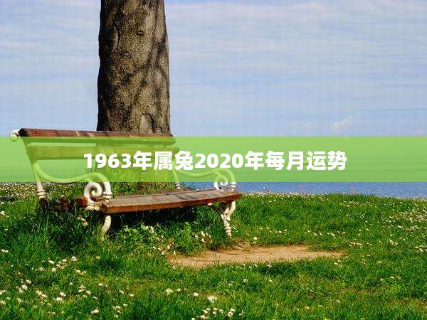 1963年属兔2020年每月运势