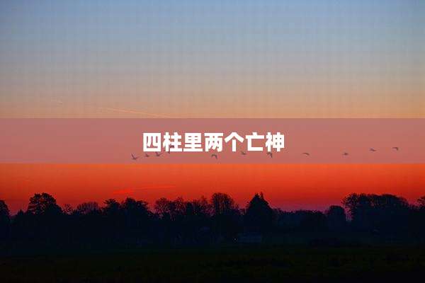 四柱里两个亡神