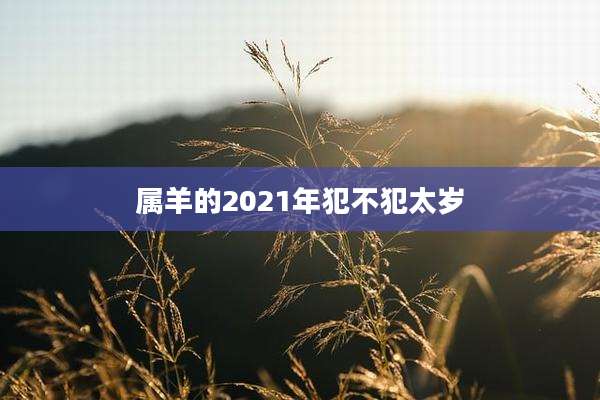 属羊的2021年犯不犯太岁