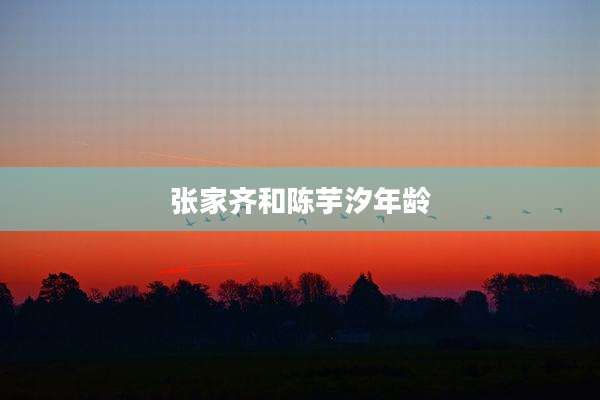 张家齐和陈芋汐年龄