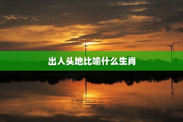 出人头地比喻什么生肖