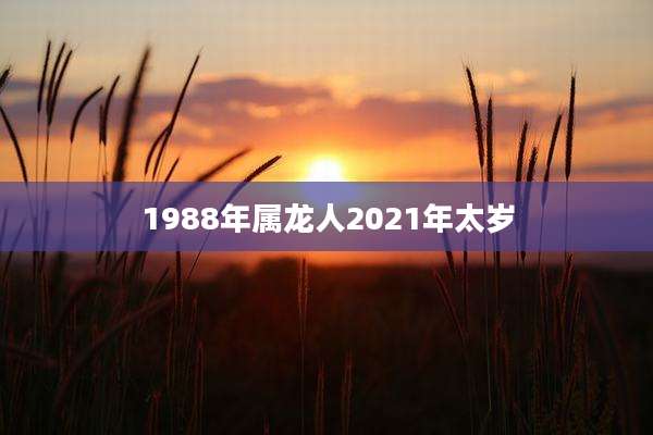 1988年属龙人2021年太岁