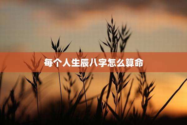 每个人生辰八字怎么算命