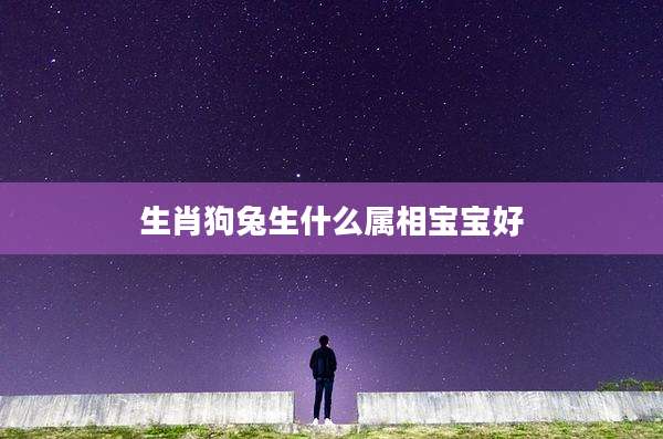 生肖狗兔生什么属相宝宝好
