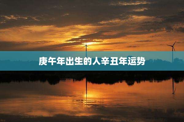 庚午年出生的人辛丑年运势