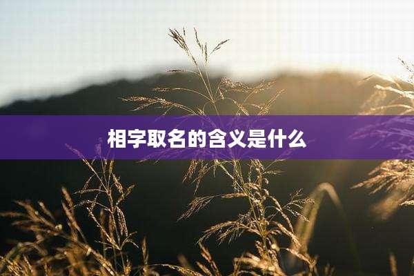相字取名的含义是什么