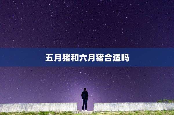 五月猪和六月猪合适吗