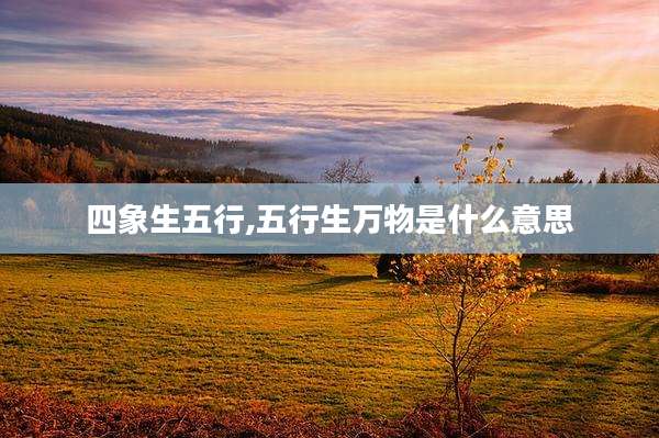 四象生五行,五行生万物是什么意思