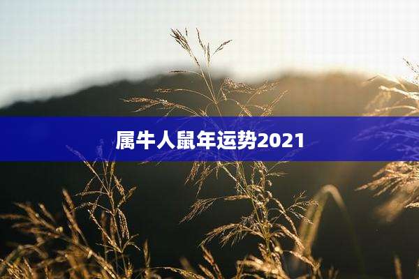 属牛人鼠年运势2021