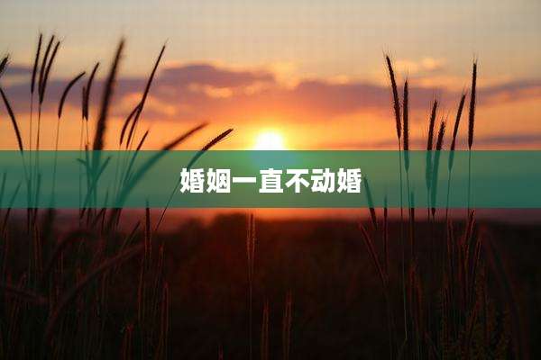 婚姻一直不动婚