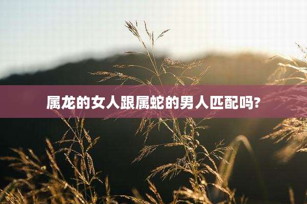 属龙的女人跟属蛇的男人匹配吗?