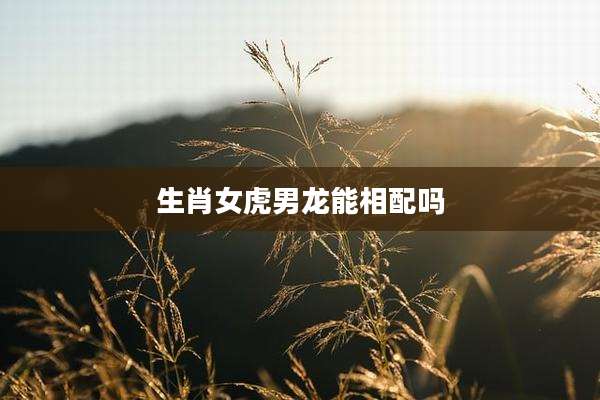 生肖女虎男龙能相配吗