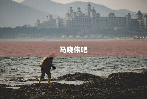 马晓伟吧