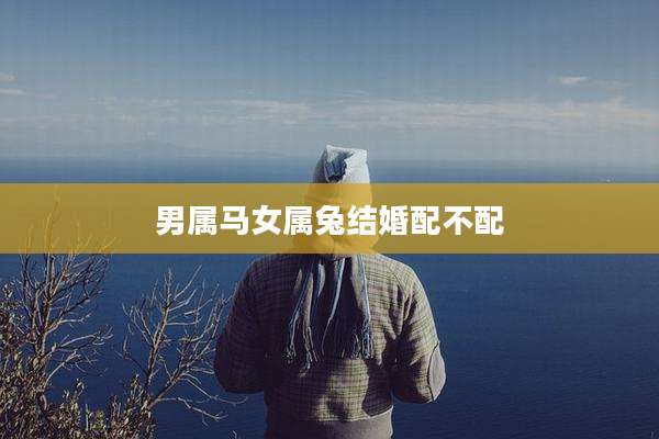 男属马女属兔结婚配不配
