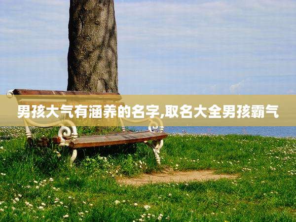 男孩大气有涵养的名字,取名大全男孩霸气