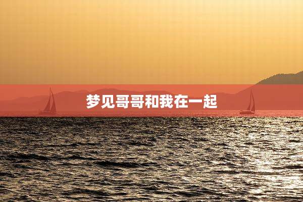 梦见哥哥和我在一起