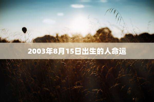 2003年8月15日出生的人命运