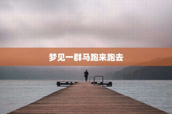 梦见一群马跑来跑去