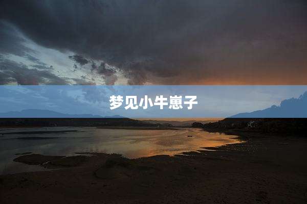 梦见小牛崽子