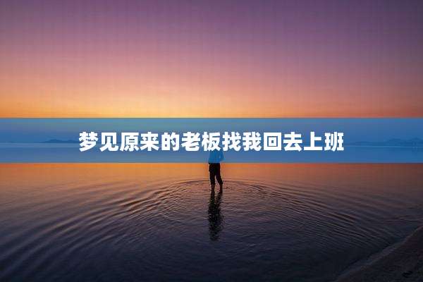 梦见原来的老板找我回去上班
