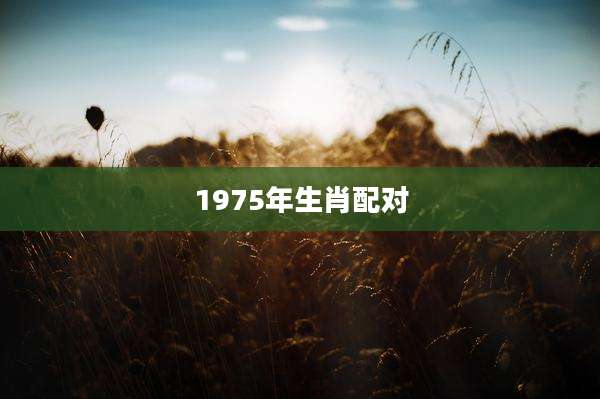 1975年生肖配对