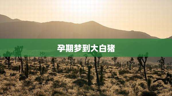 孕期梦到大白猪