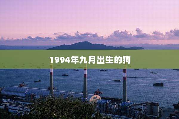 1994年九月出生的狗
