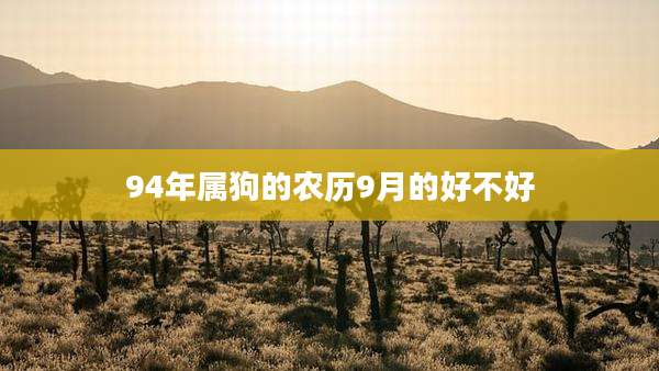 94年属狗的农历9月的好不好