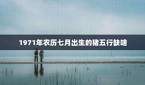 1971年农历七月出生的猪五行缺啥