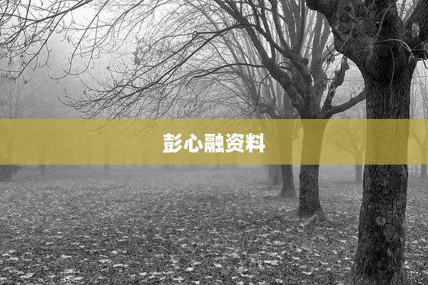 彭心融资料