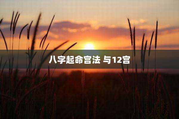 八字起命宫法 与12宫