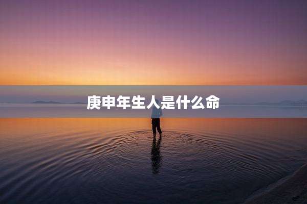 庚申年生人是什么命