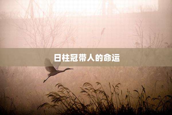 日柱冠带人的命运