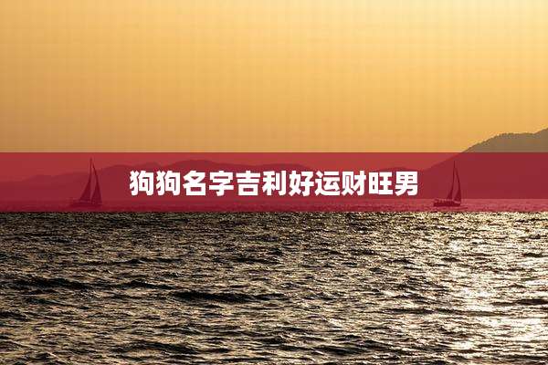狗狗名字吉利好运财旺男