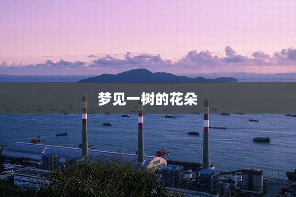 梦见一树的花朵
